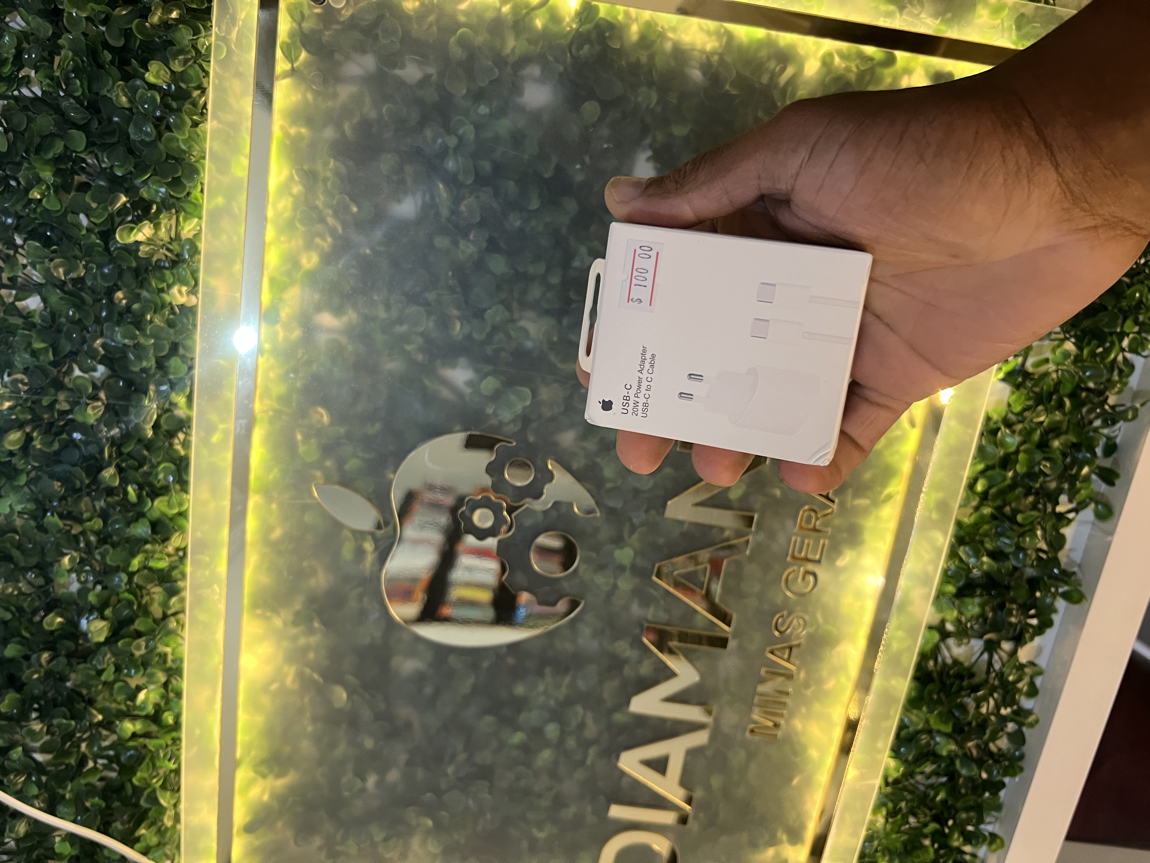 Carregador Apple USB-C